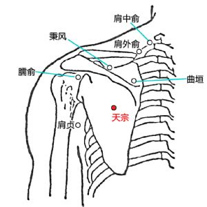 天門穴|天宗穴位置 